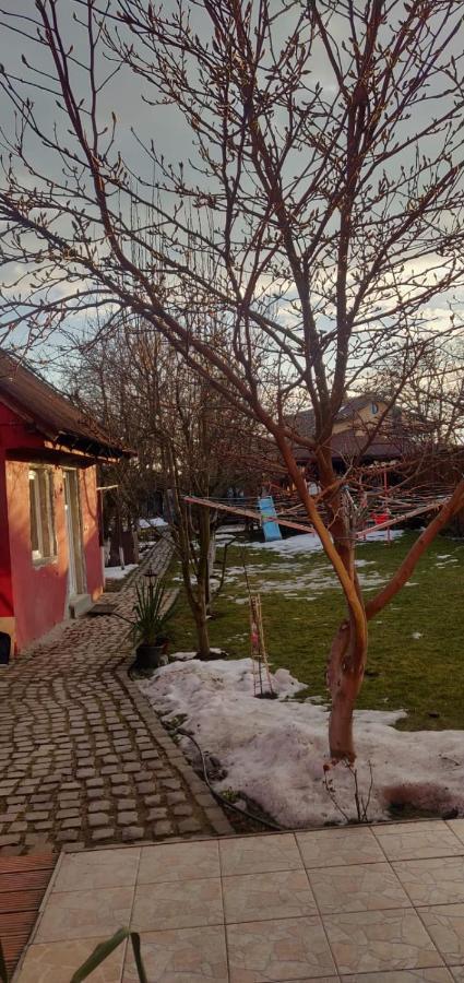 Casa Terzea Ξενοδοχείο Rîşnov Εξωτερικό φωτογραφία